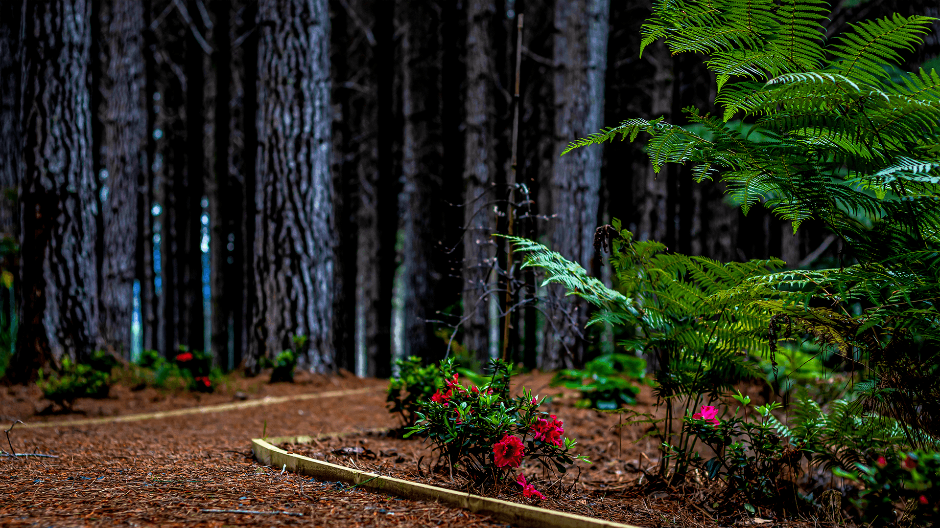 Northscape — Landscaping Services in Whangārei