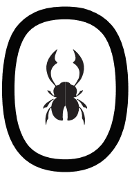 XO Recruitment
