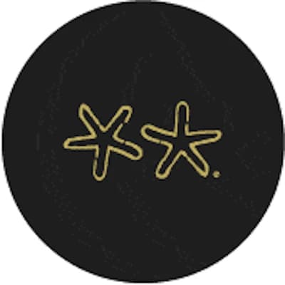 Two Little Starfish logo