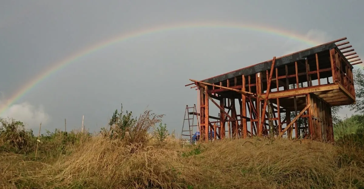 Collaborative Projects Studio (COPS) — Architects in Wairoa