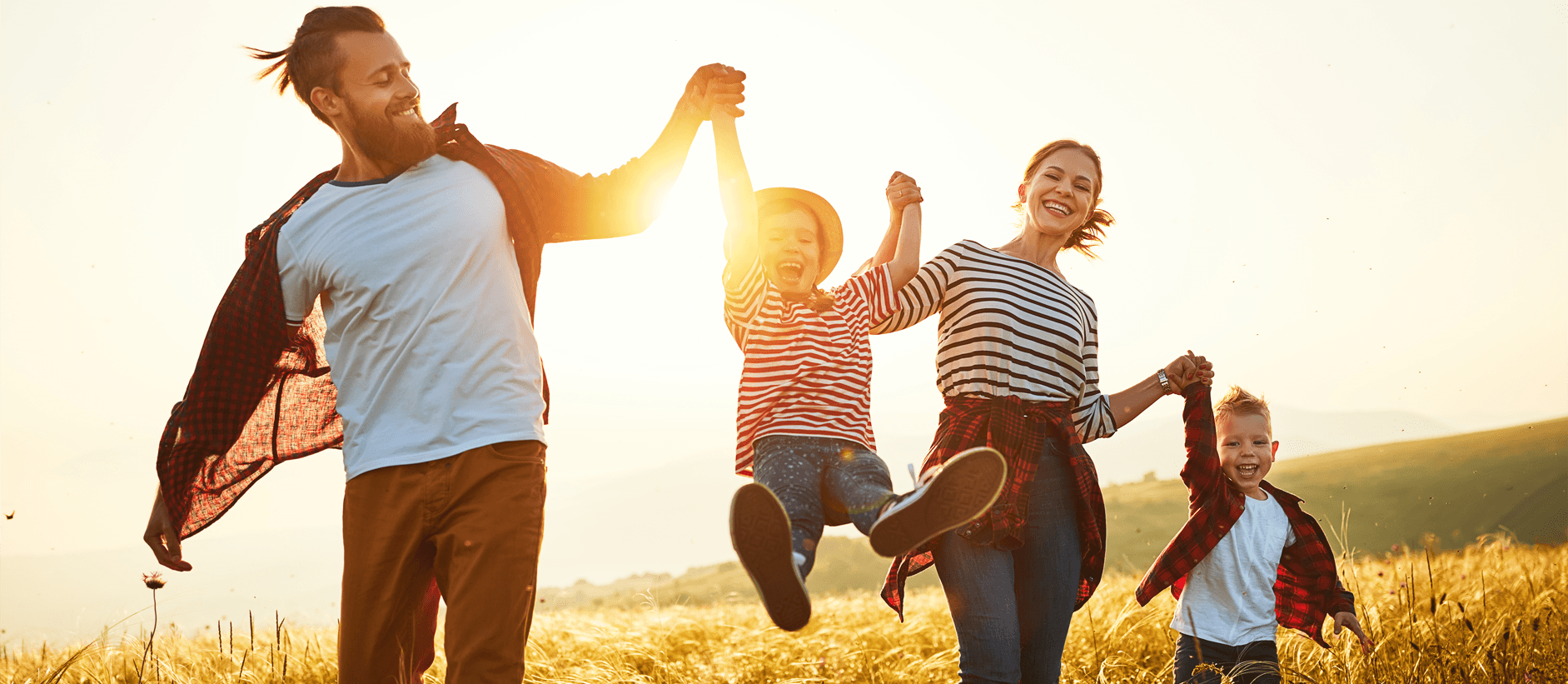 Insurance Link Otago — Professional Services in Dunedin