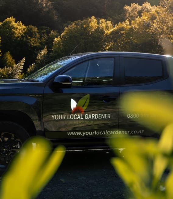 Your Local Gardener Nelson Tasman — Gardening Services in Richmond