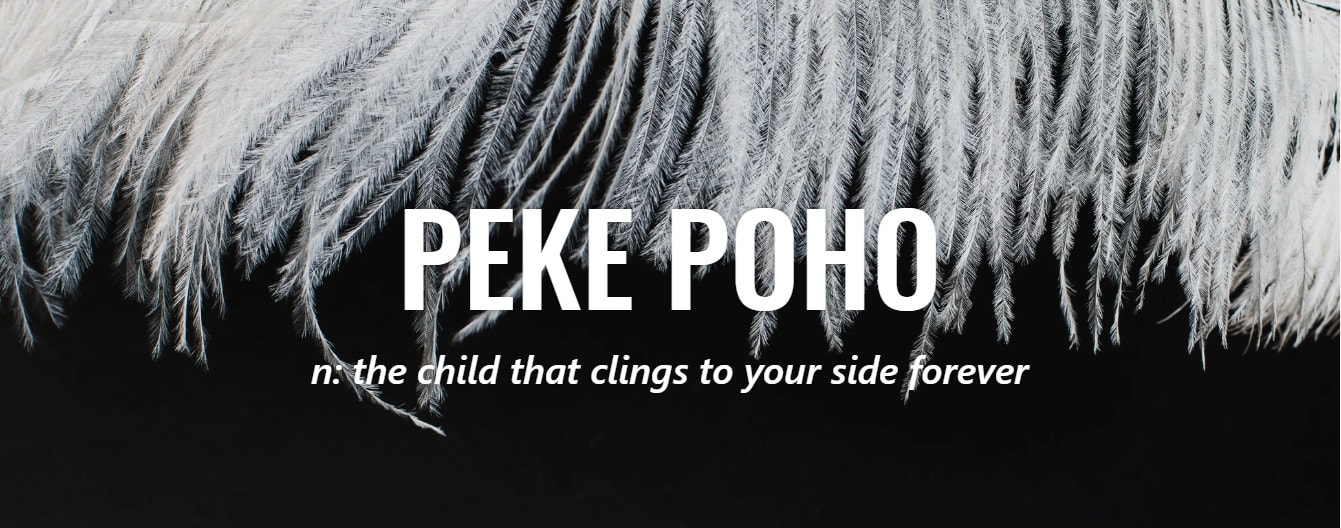 Peke Poho - Gifts — Gift Shops in New Zealand