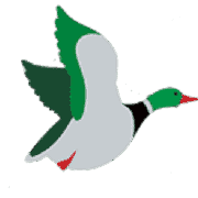 The Fat Duck