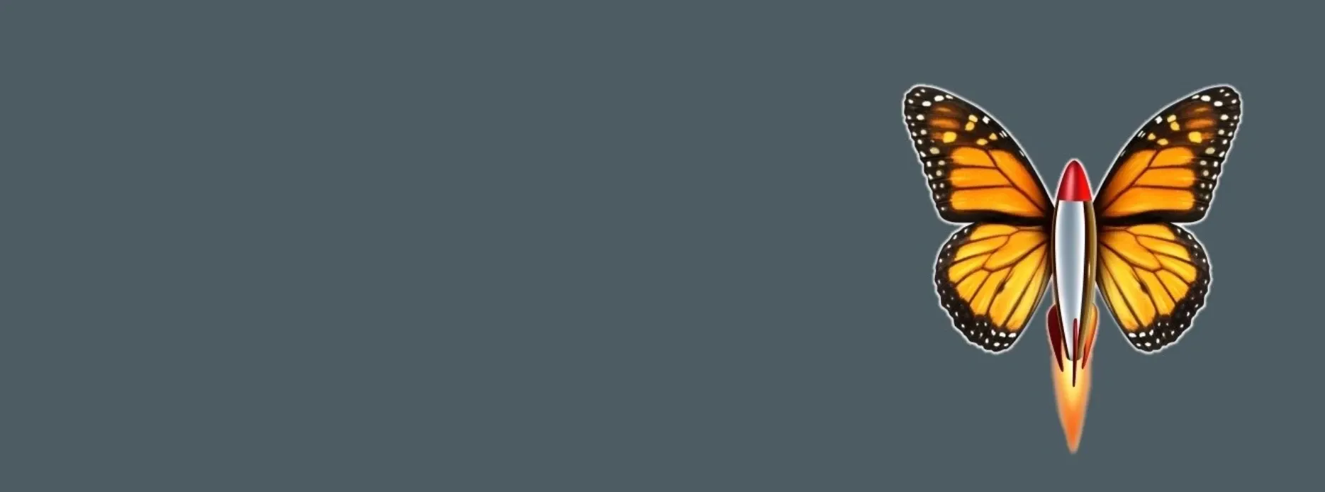 Anyware Web Design — Website Designers in Wellington