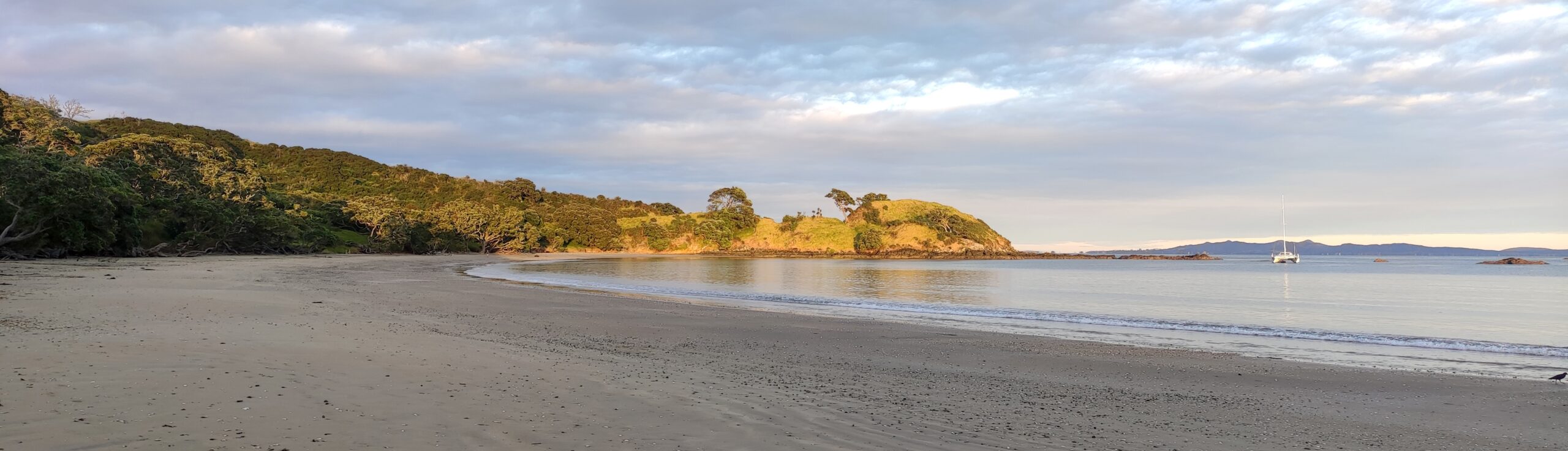 Ruru Artisans — Artists in Mangonui
