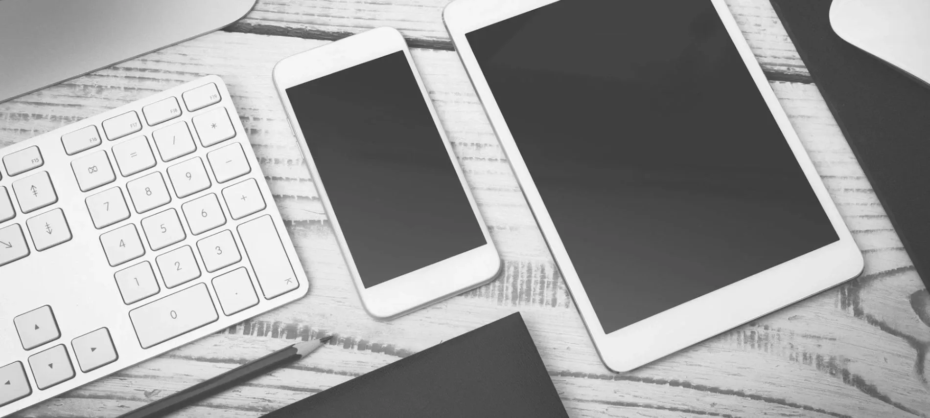 Zesty Design — Website Designers in Auckland