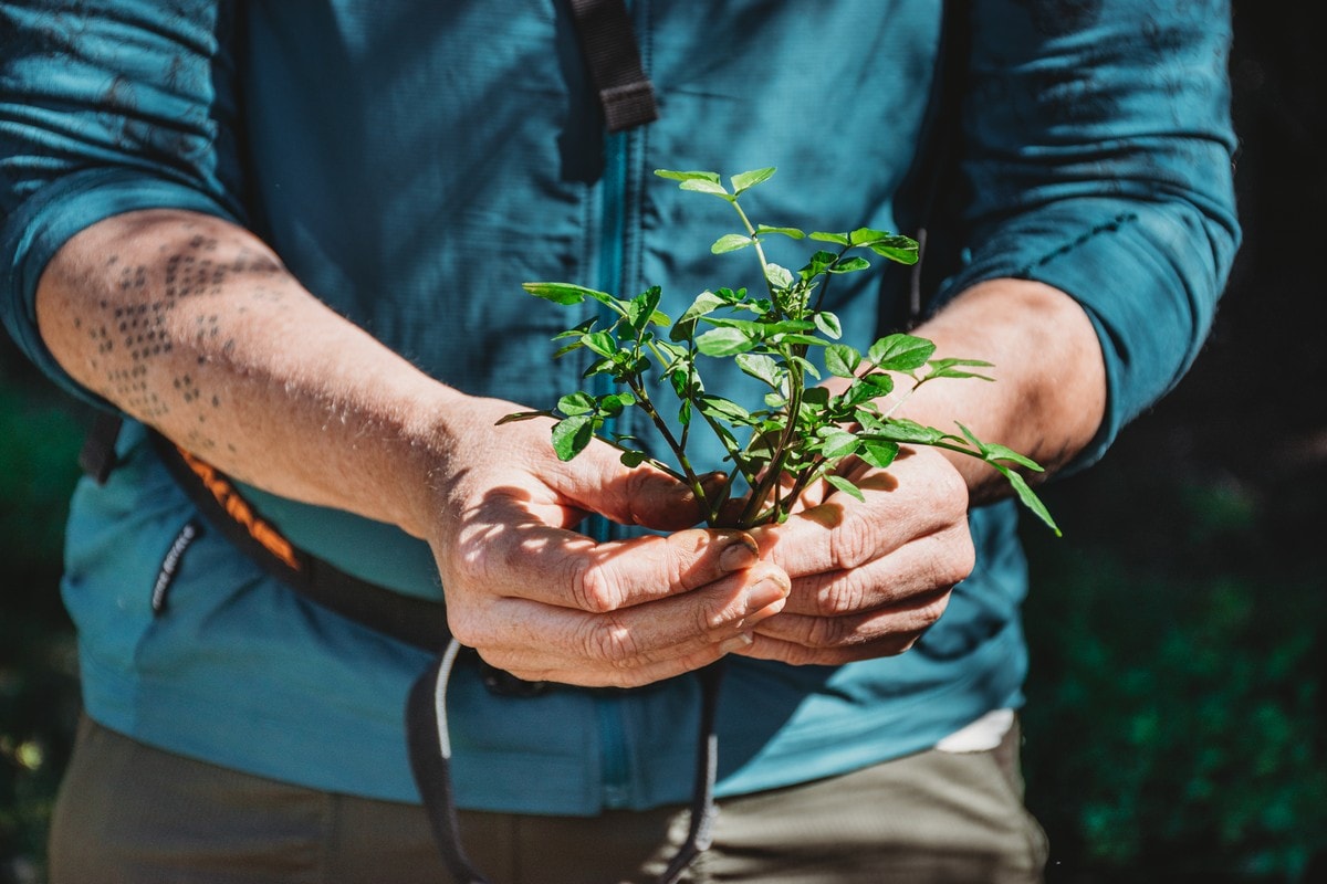 Forage & Feast — Travel & Tourism in Otago