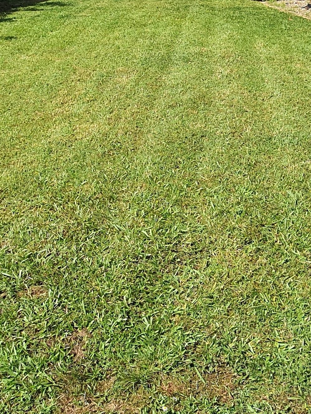 West Auckland Lawn Mowing Services — Gardening Services in West Auckland