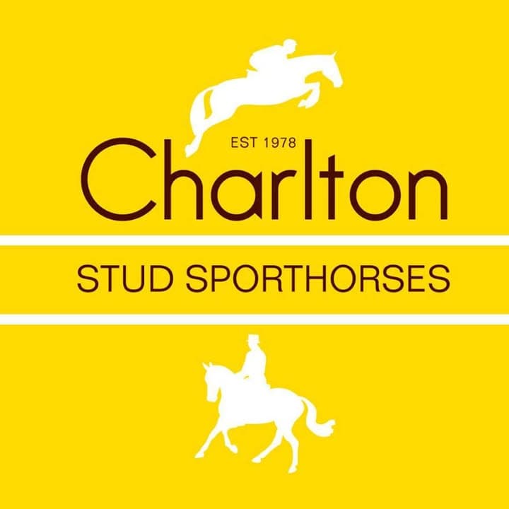 Charlton Stud Sporthorses