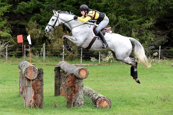 Charlton Stud Sporthorses — Pet Stores in Putāruru