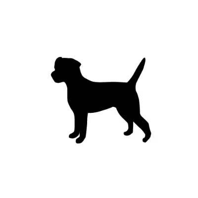 Phosphor Ltd