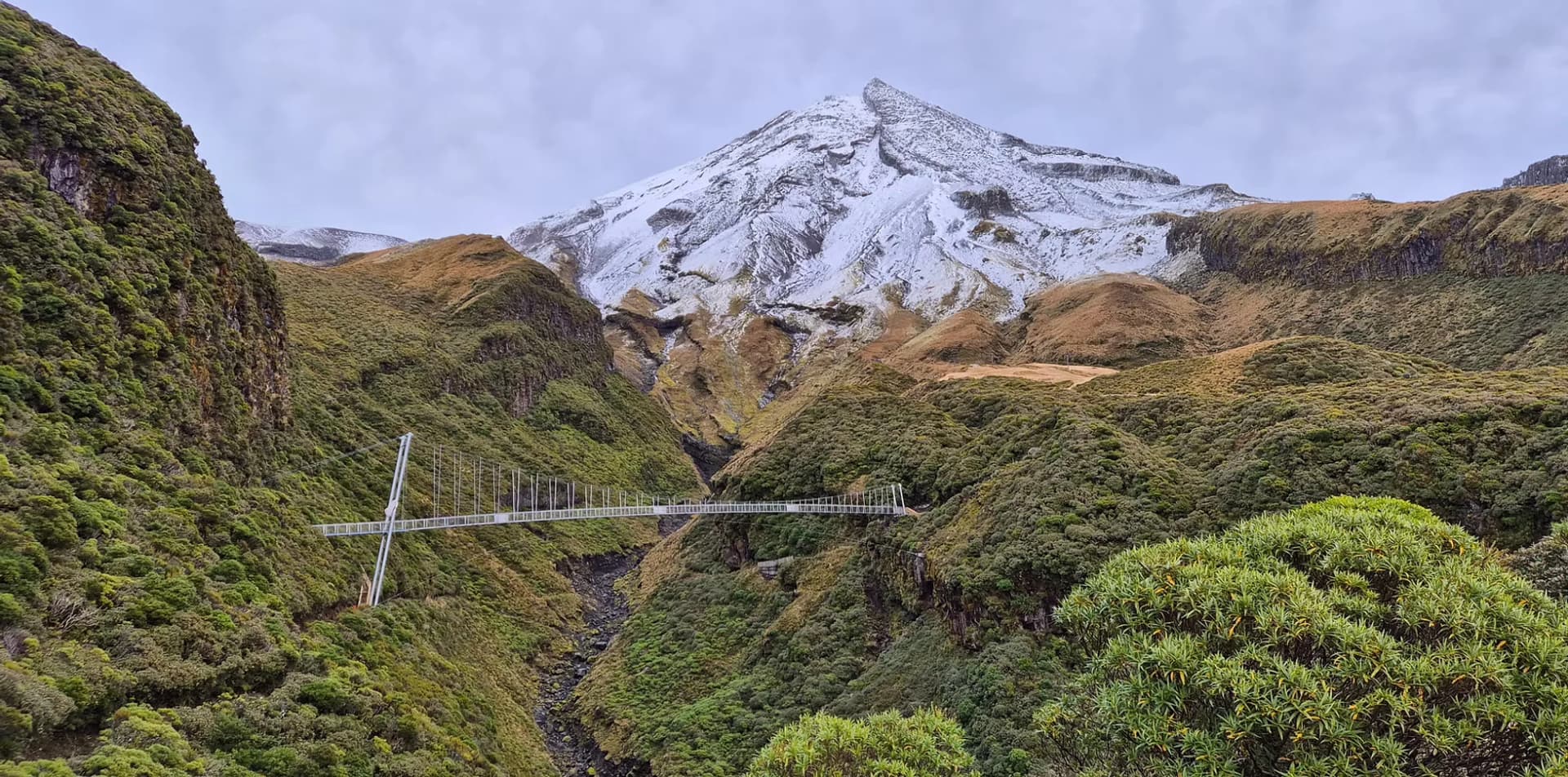 Riley Consultants — Engineering Services in Devonport-Takapuna
