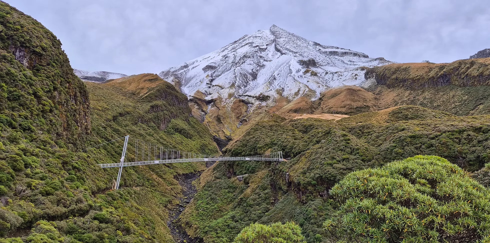 Riley Consultants — Engineering Services in Devonport-Takapuna