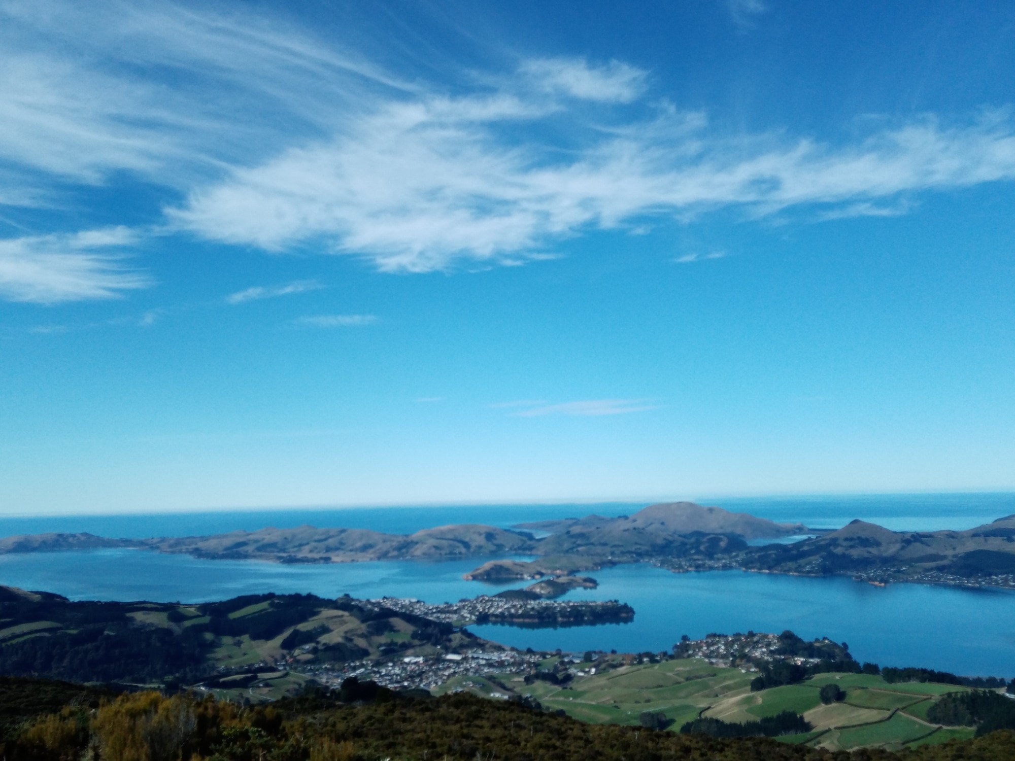 Francisca Griffin, Naturopath — Health & Wellness in Dunedin