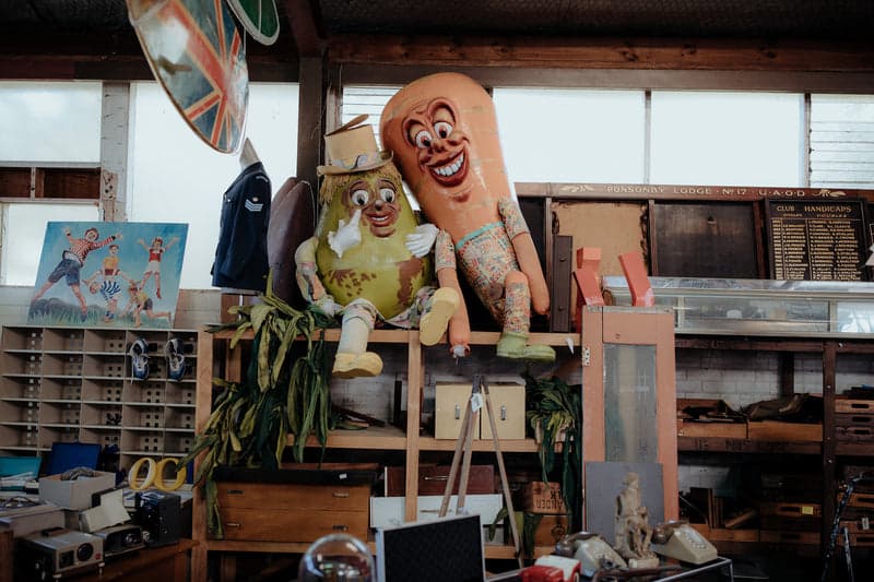 Junk and Disorderly — Gift Shops in Albert-Eden