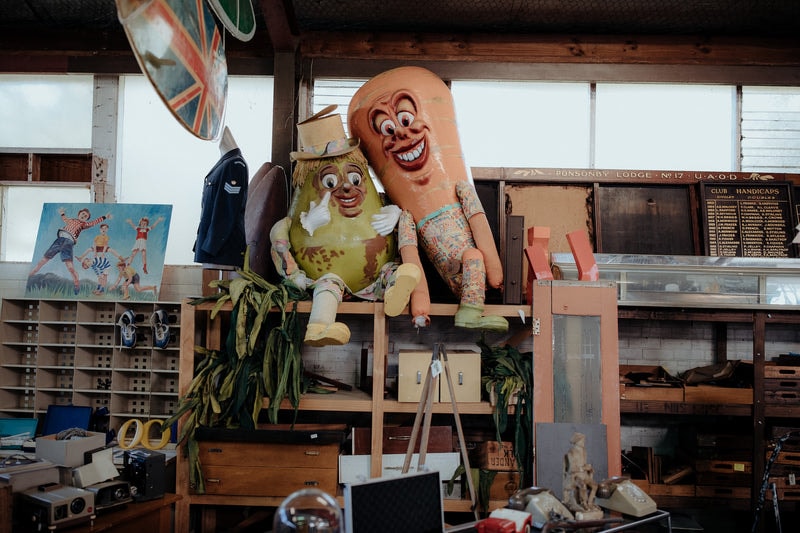 Junk and Disorderly — Waste Management in Albert-Eden
