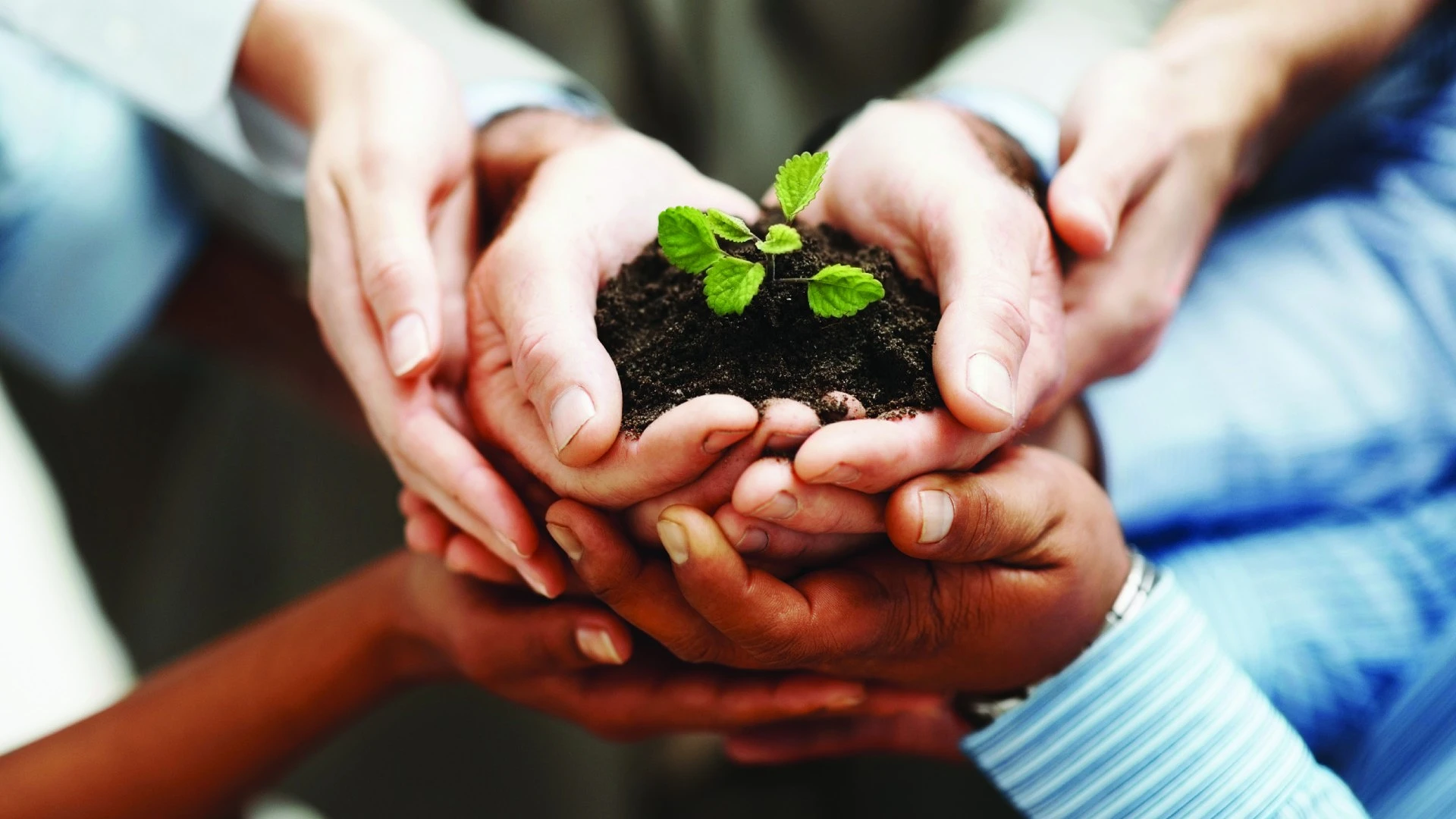 Organisation Development Institute Ltd — Education & Training in Christchurch