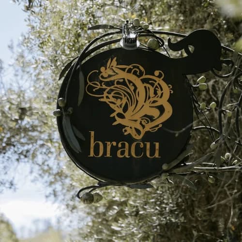 Bracu
