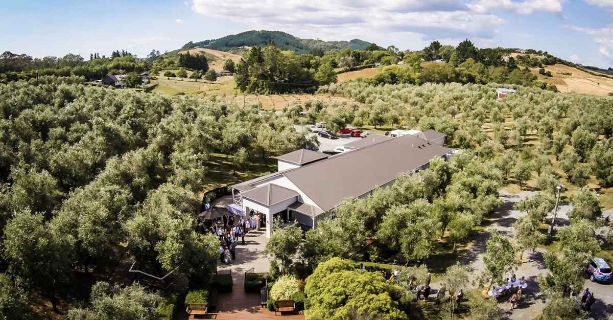 Bracu — Restaurants in Auckland