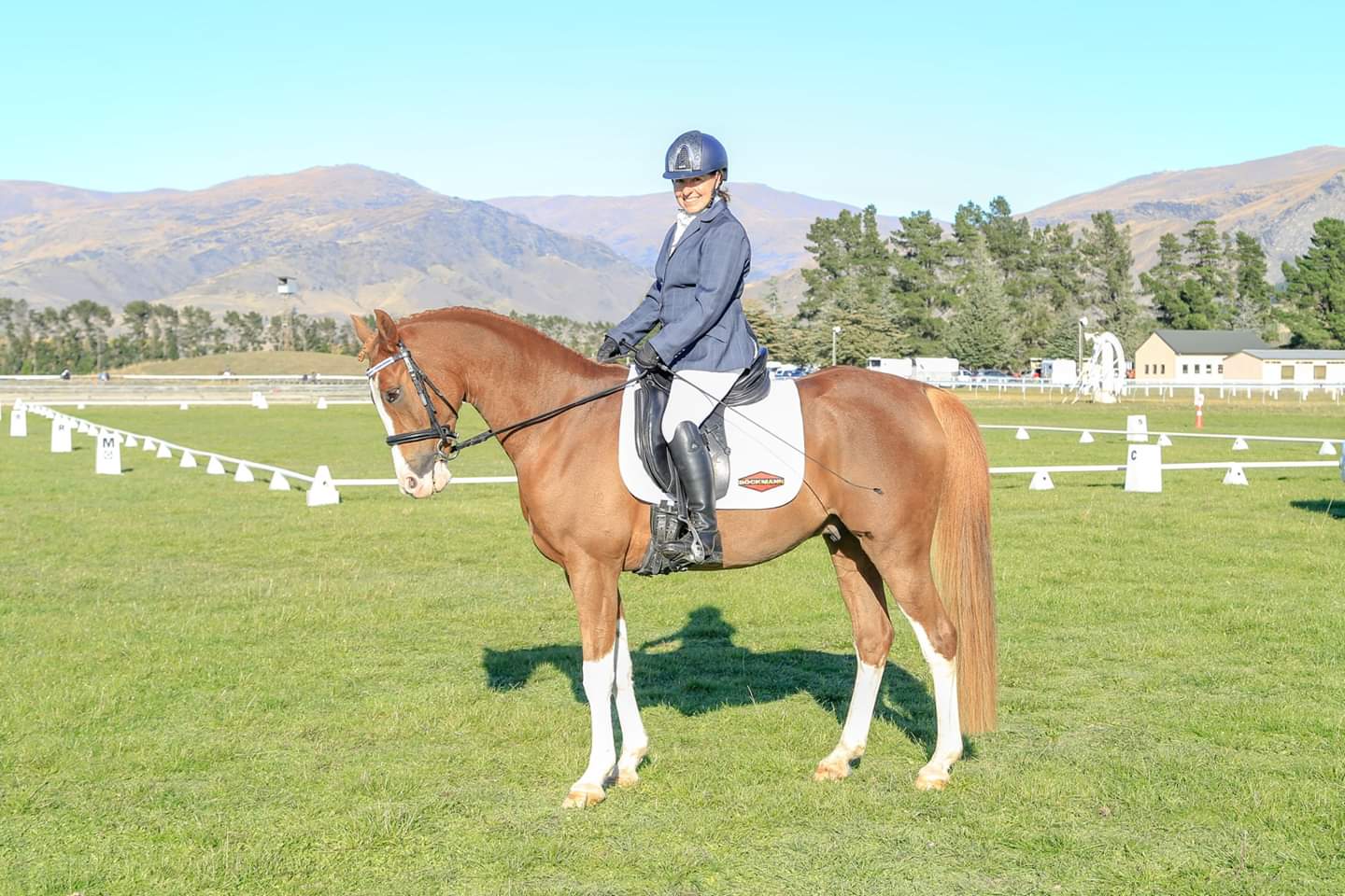 Southland Riding for the Disabled — Non Profit Organisations in Invercargill