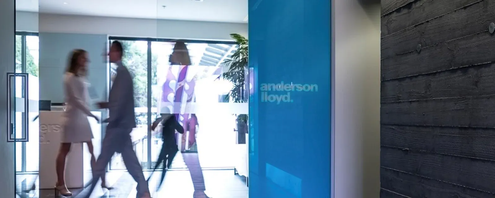 Anderson Lloyd Queenstown — Legal Services in Queenstown