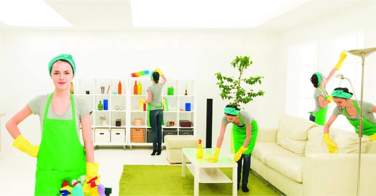 Ashburton Cleaning Services