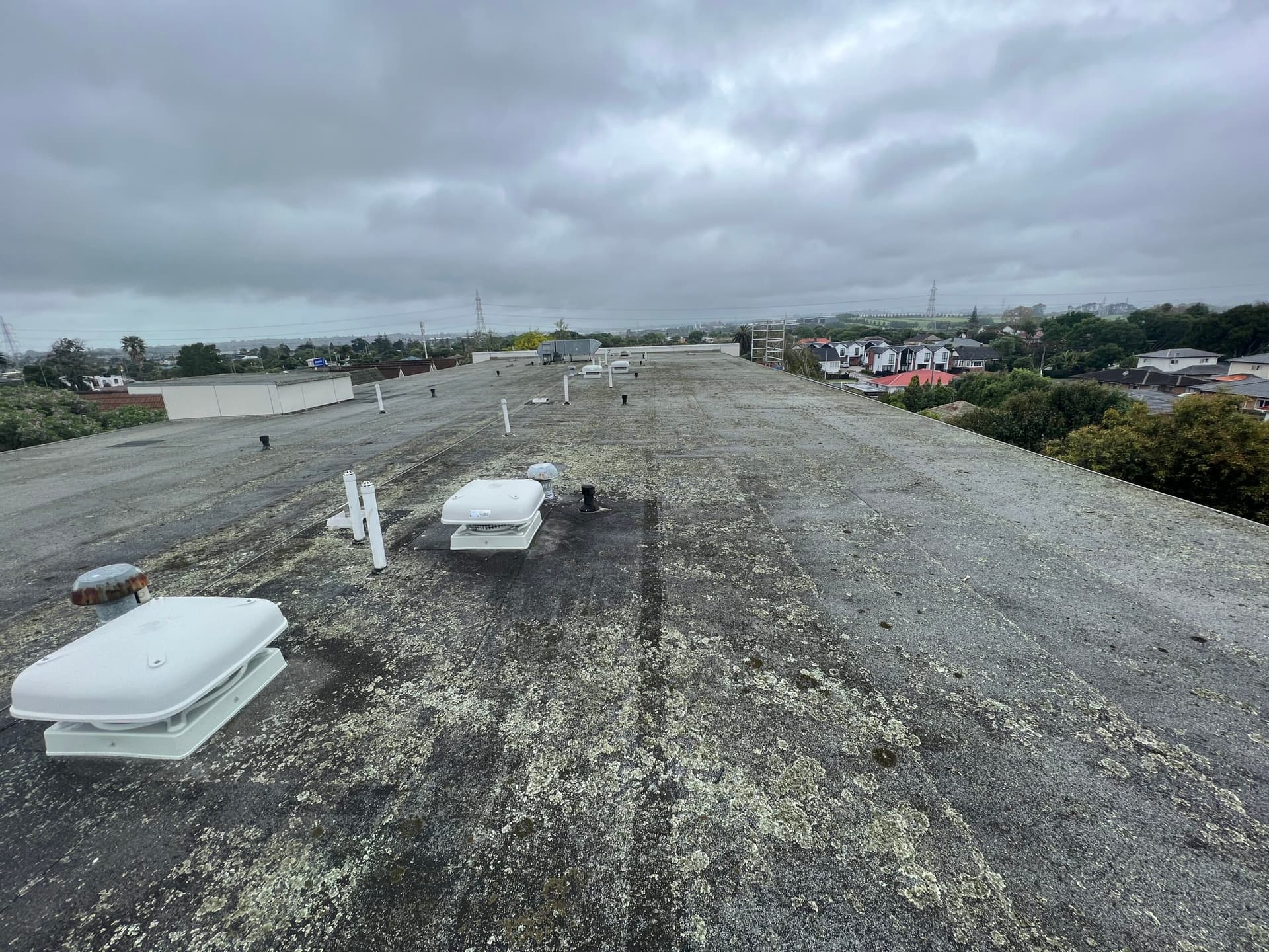 Delta Roofing — Roofing Services in Hamilton