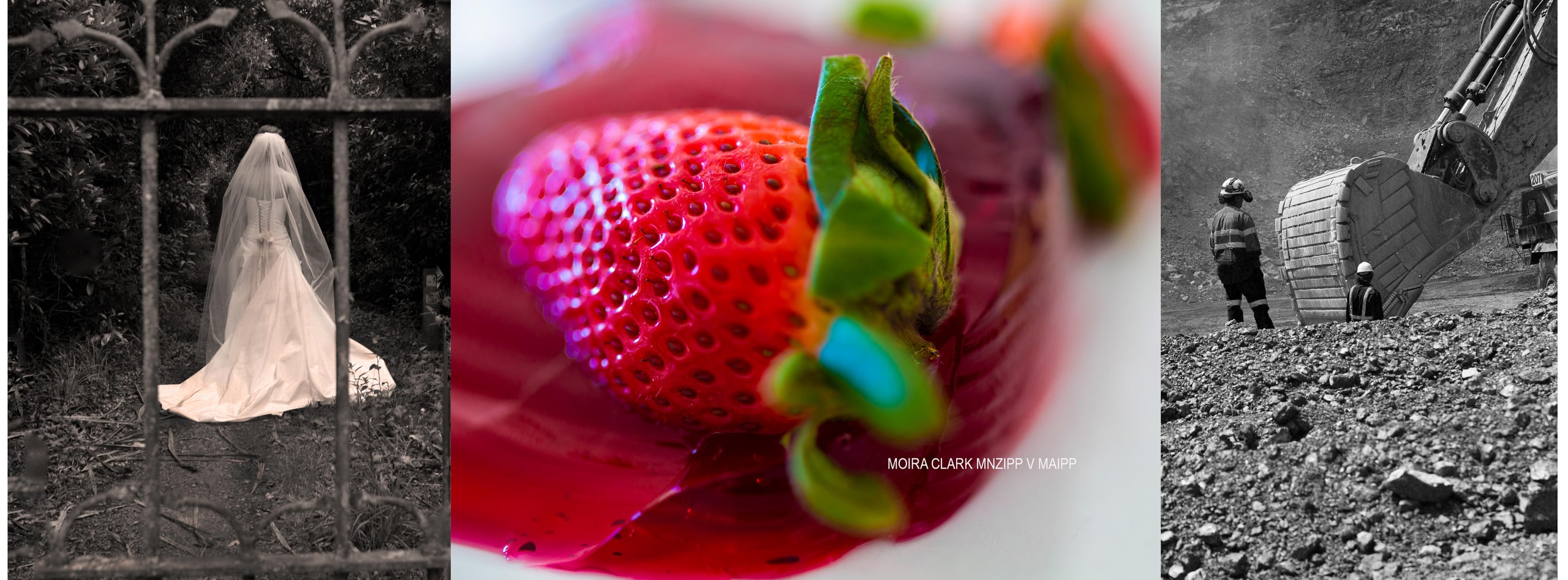 MOIRA CLARK PHOTOGRAPHY MNZIPP V MAIPP — Photographers in Dunedin