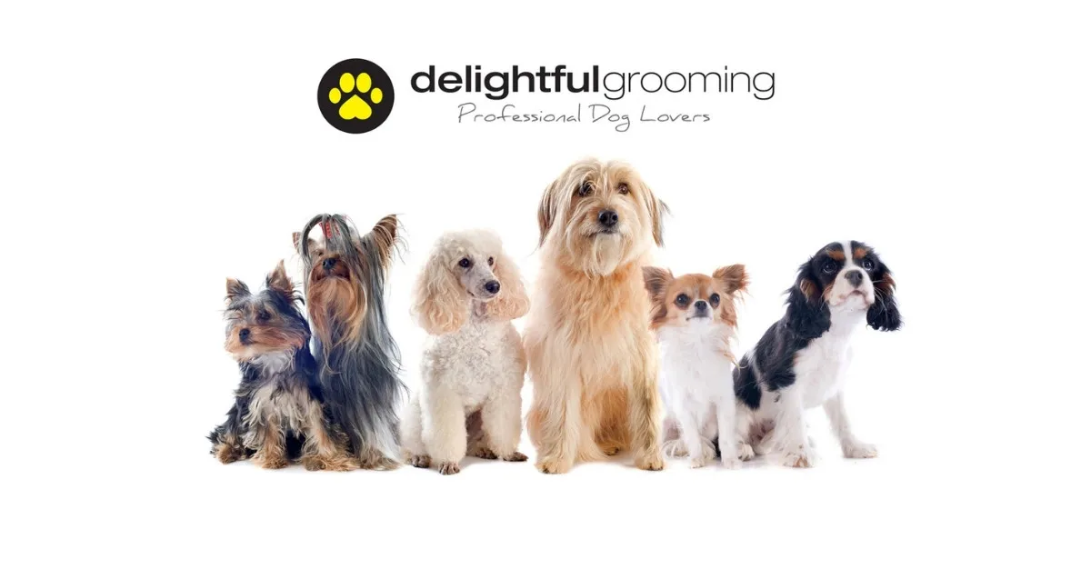 Delightful Grooming — Dog Groomers in Waikato
