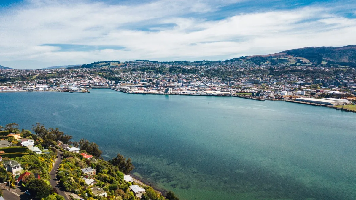 Greg Verhoef Chartered Accountant — Accountants in Dunedin