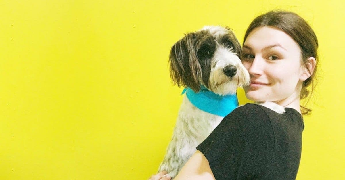 Pup Culture Dog Groomers