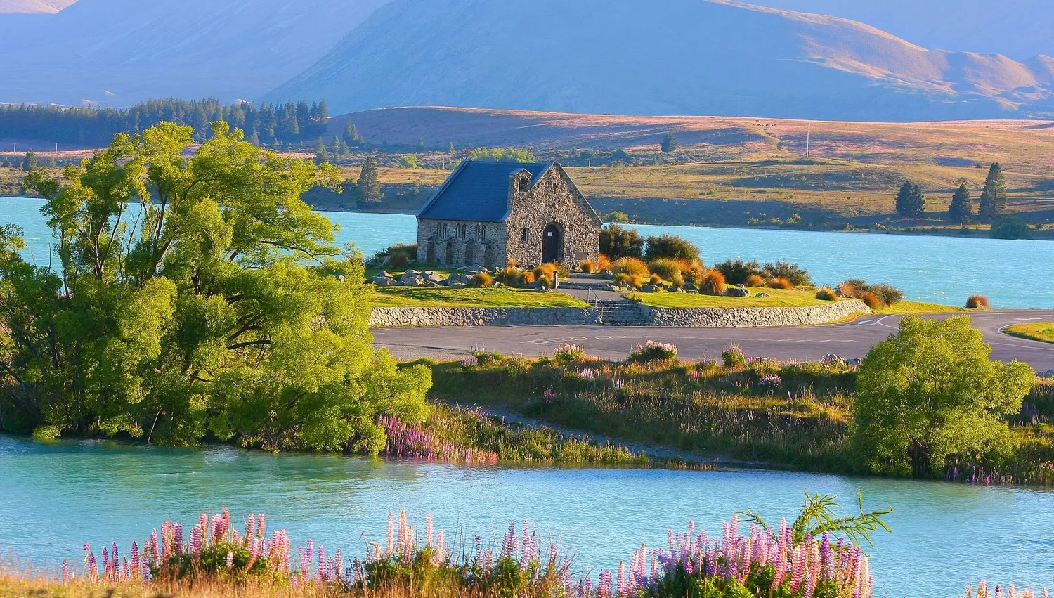 Star Immigration — Immigration Consultants in Christchurch