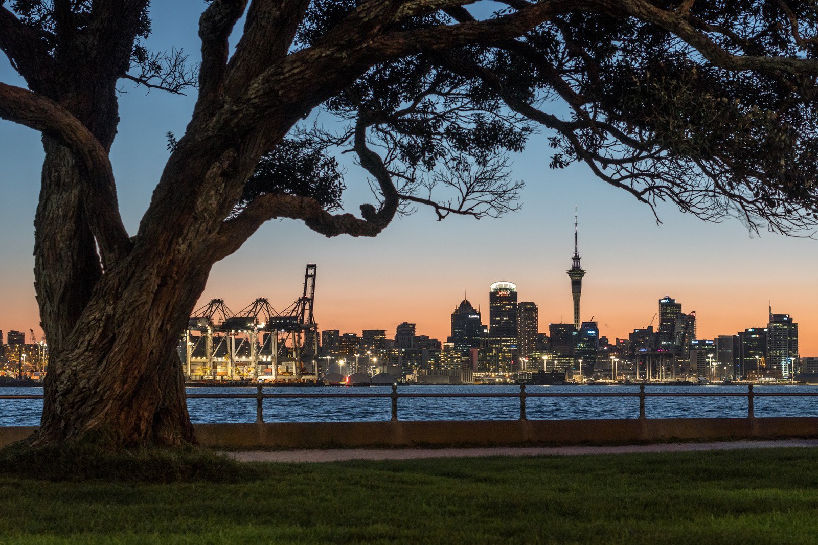 Singleton Mercer — Accountants in Devonport