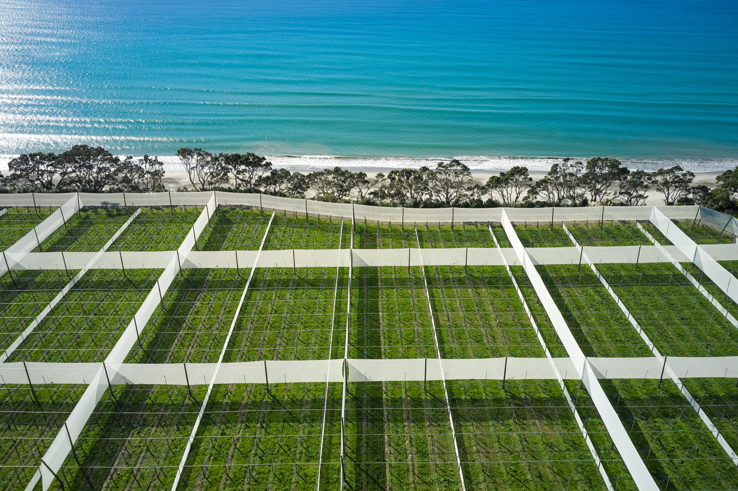 KOS FENCING BAY OF PLENTY — Agricultural Services in Te Puke