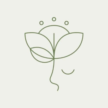 Natura Chiropractic logo