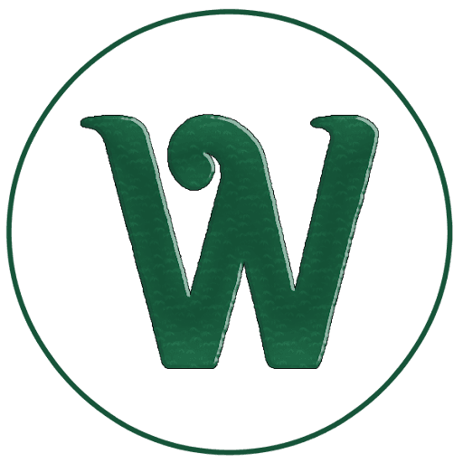 Web Expert