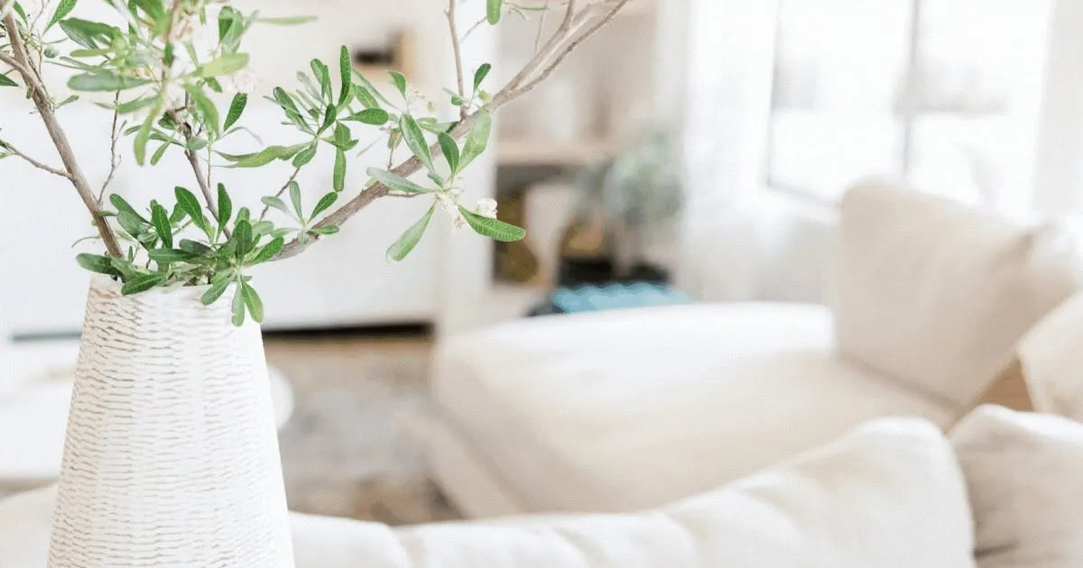 Metro Property Management — Property Managers in Christchurch