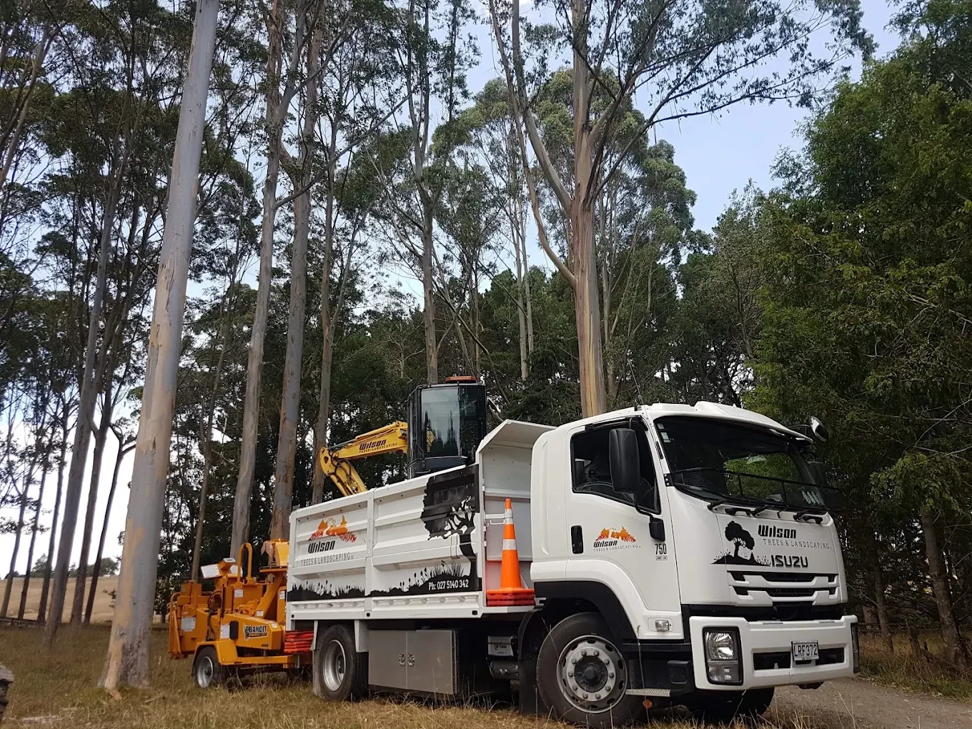 Wilson Trees and Landscaping — Arborists in Hamilton