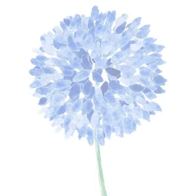 Indigo Images