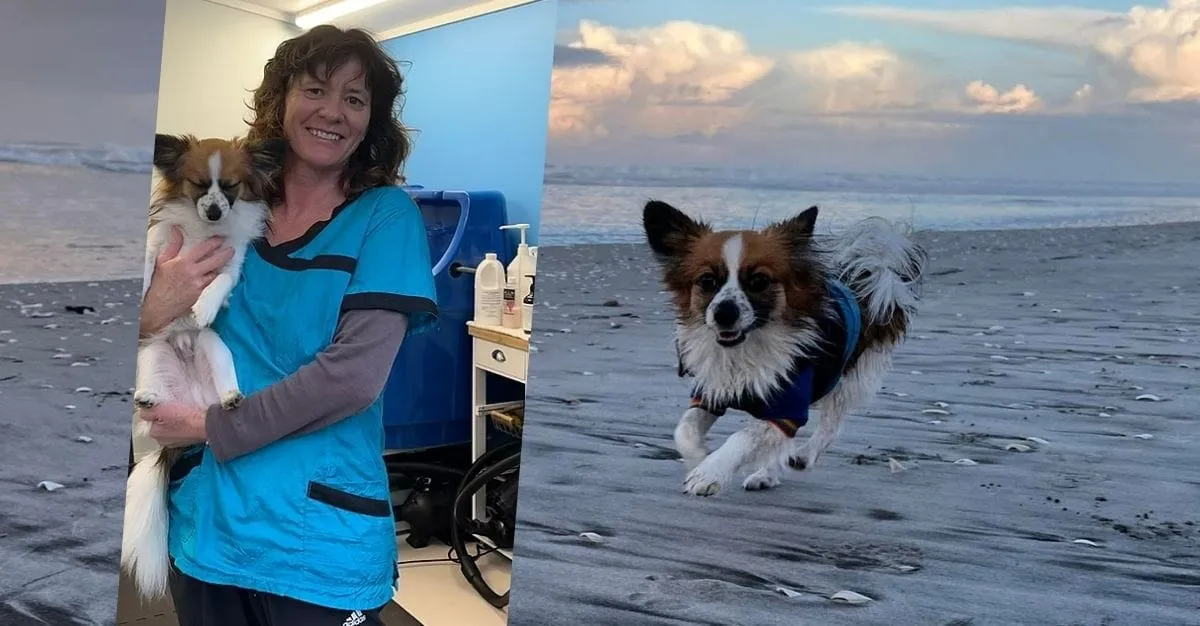 Pooch Pamper Inn — Dog Groomers in Katikati