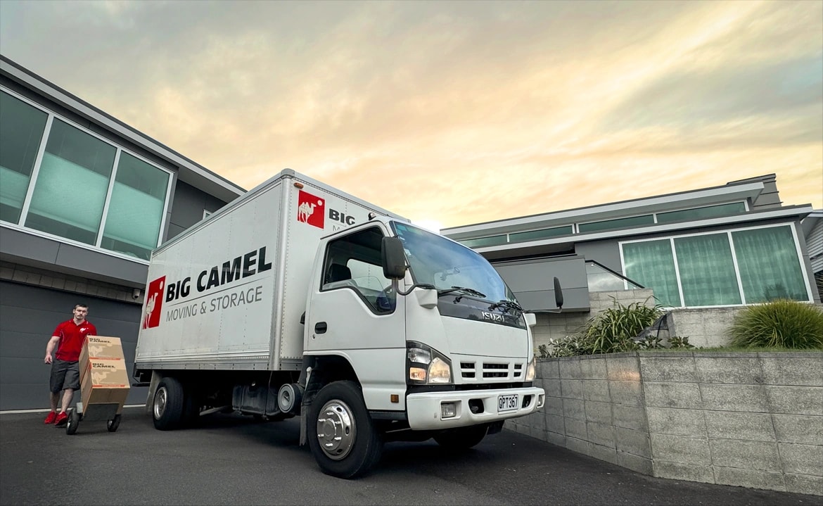 Big Camel Moving & Storage — Moving Companies in Wellington