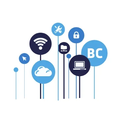 BC Systems Consultancy Ltd