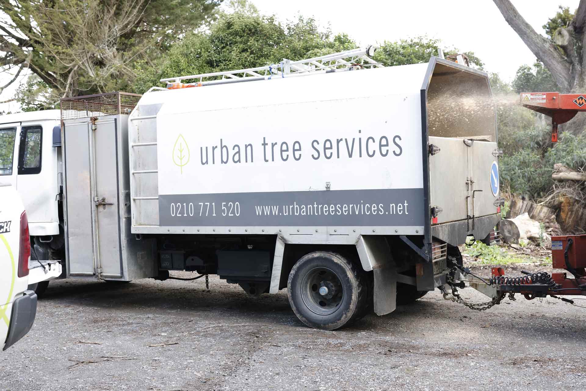 Urban Tree Services — Arborists in Wellington