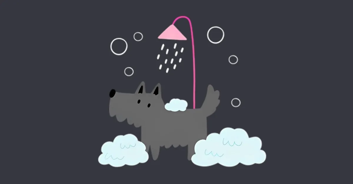 Kapiti Dog Grooming — Dog Groomers in Kapiti Coast