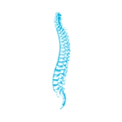 Harcombe Osteopathy logo