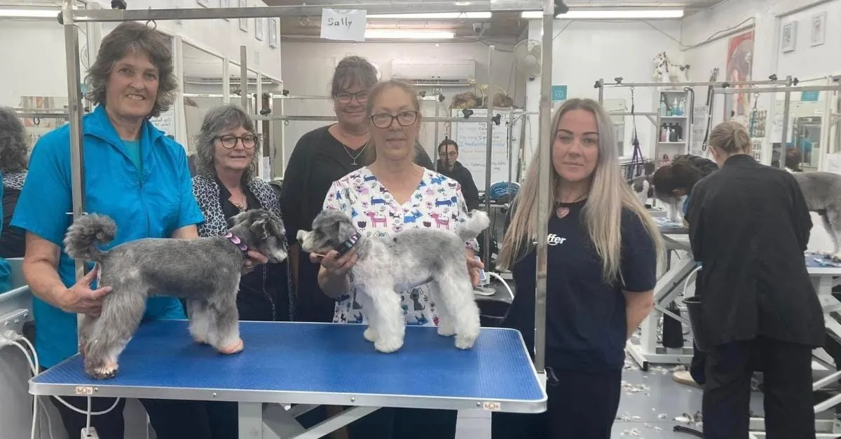 SallyWags Dog Groomer — Dog Groomers in Kerikeri