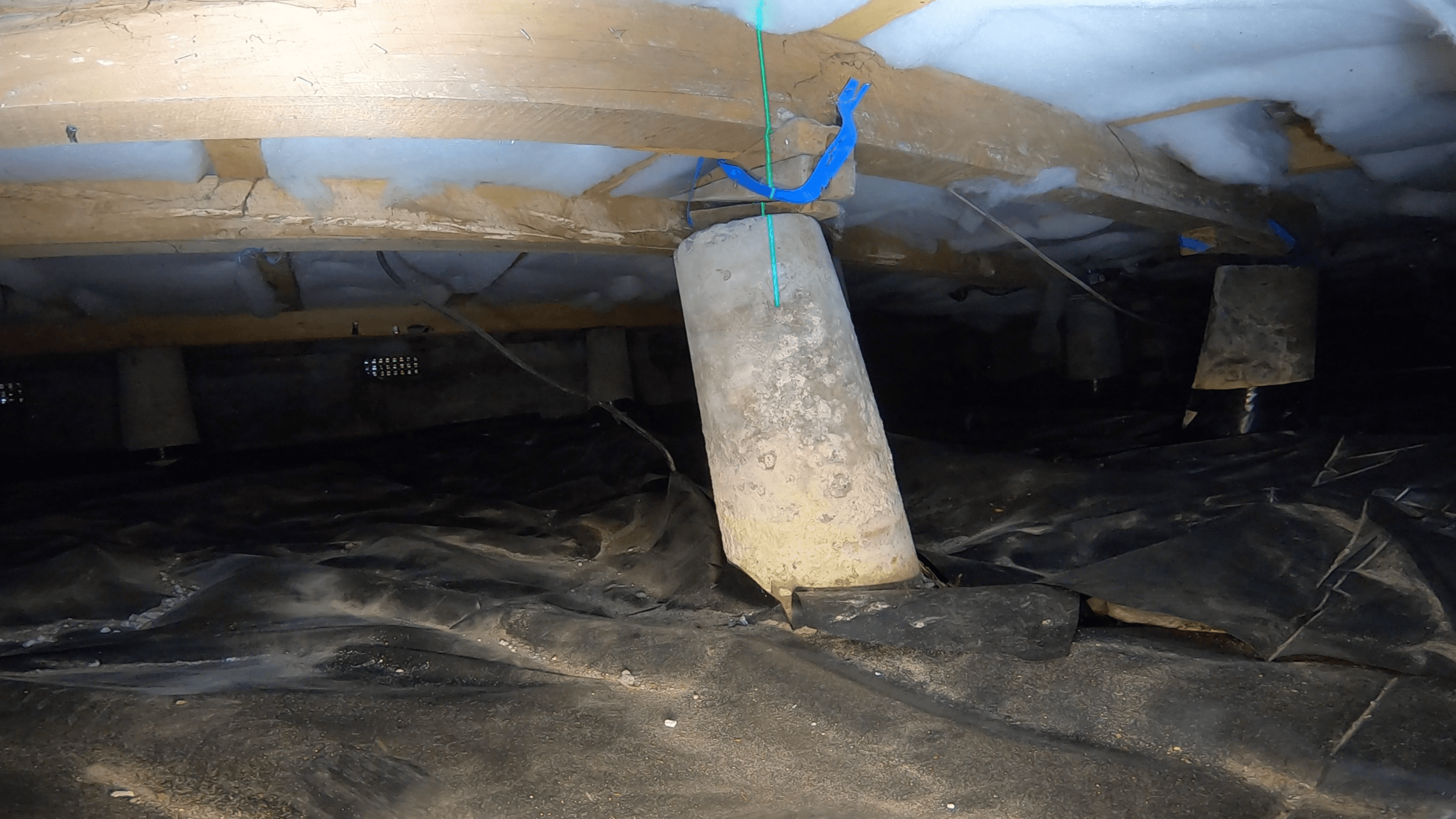 Cavity Critter — Surveyors in Waimakariri District
