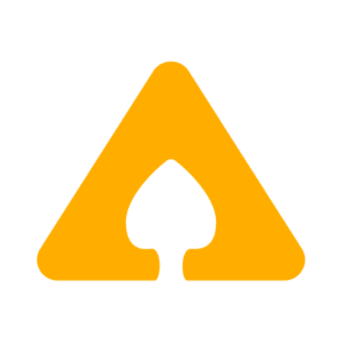 ACES - Asset Corrosion Engineered Solutions