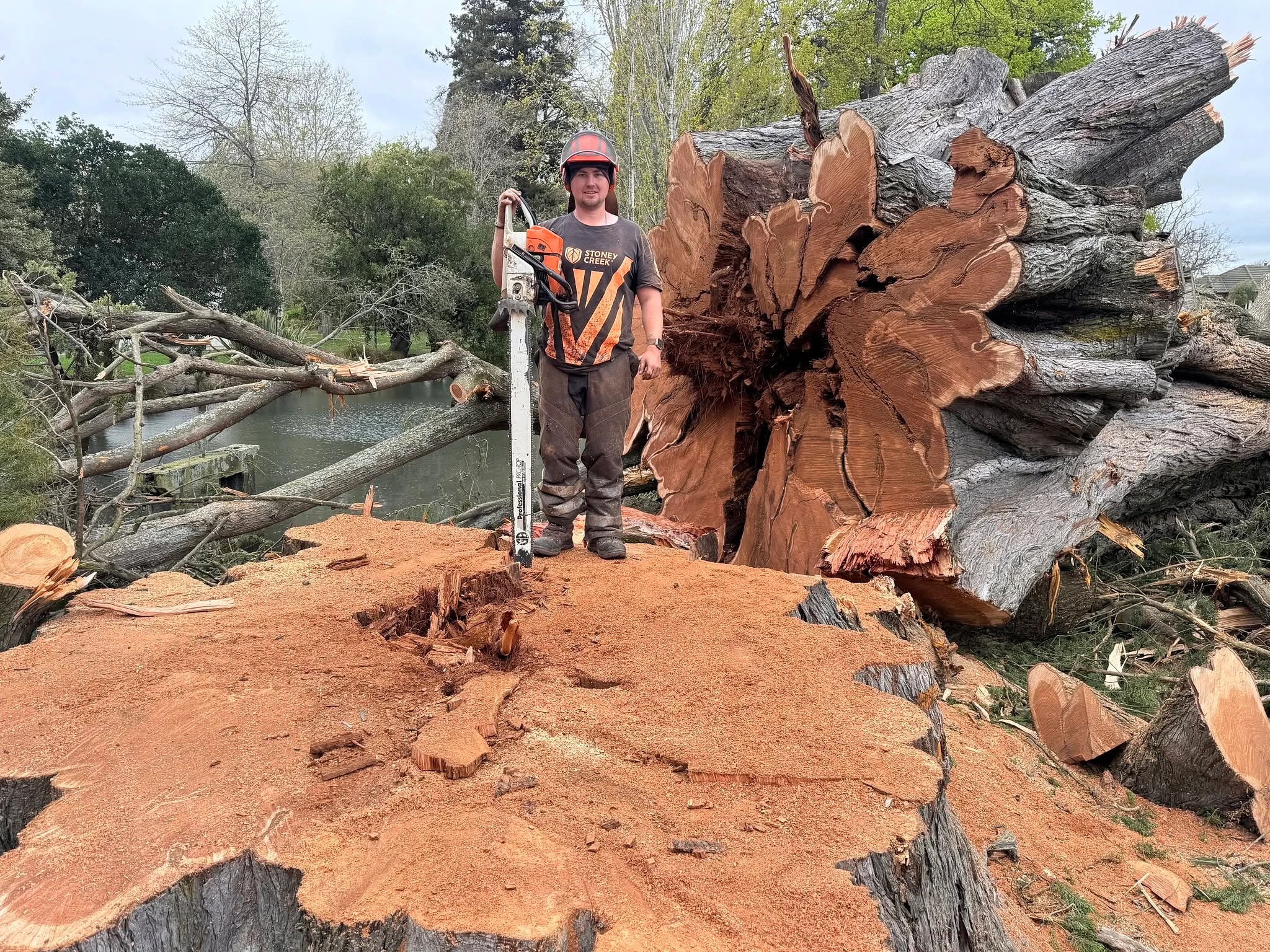 Sawman Sean Tree Services — Arborists in Christchurch